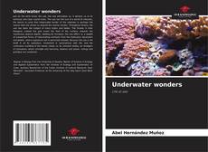 Copertina di Underwater wonders