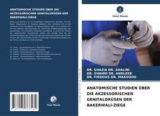 Copertina di ANATOMISCHE STUDIEN ÜBER DIE AKZESSORISCHEN GENITALDRÜSEN DER BAKERWALI-ZIEGE