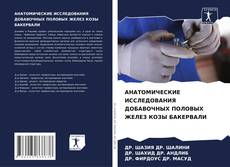 Portada del libro de АНАТОМИЧЕСКИЕ ИССЛЕДОВАНИЯ ДОБАВОЧНЫХ ПОЛОВЫХ ЖЕЛЕЗ КОЗЫ БАКЕРВАЛИ