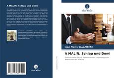 Capa do livro de A MALIN, Schlau und Demi 