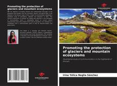 Обложка Promoting the protection of glaciers and mountain ecosystems