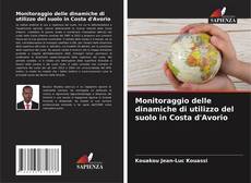Portada del libro de Monitoraggio delle dinamiche di utilizzo del suolo in Costa d'Avorio
