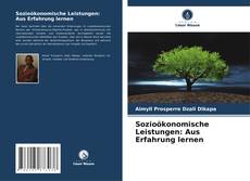 Capa do livro de Sozioökonomische Leistungen: Aus Erfahrung lernen 