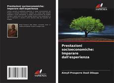 Bookcover of Prestazioni socioeconomiche: Imparare dall'esperienza