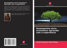 Bookcover of Desempenho sócio-económico: Aprender com a experiência