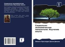 Bookcover of Социально-экономические показатели: Изучение опыта