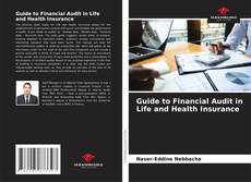 Buchcover von Guide to Financial Audit in Life and Health Insurance