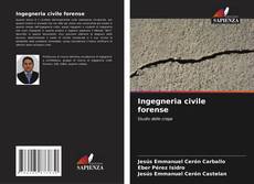 Buchcover von Ingegneria civile forense