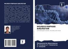 Bookcover of МОЛЕКУЛЯРНАЯ БИОЛОГИЯ