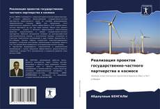 Bookcover of Реализация проектов государственно-частного партнерства в космосе