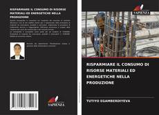 Capa do livro de RISPARMIARE IL CONSUMO DI RISORSE MATERIALI ED ENERGETICHE NELLA PRODUZIONE 