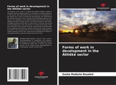 Copertina di Forms of work in development in the Attiéké sector