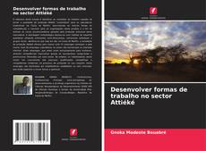 Capa do livro de Desenvolver formas de trabalho no sector Attiéké 