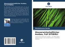 Bookcover of Wasserwirtschaftlicher Ausbau, Fall SITIBIRLI