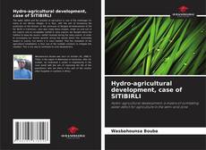 Hydro-agricultural development, case of SITIBIRLI的封面