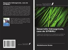 Copertina di Desarrollo hidroagrícola, caso de SITIBIRLI