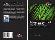 Capa do livro de Sviluppo idro-agricolo, il caso di SITIBIRLI 
