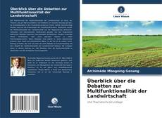 Überblick über die Debatten zur Multifunktionalität der Landwirtschaft kitap kapağı