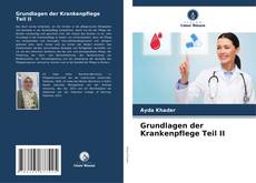 Grundlagen der Krankenpflege Teil II kitap kapağı