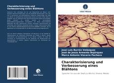 Charakterisierung und Verbesserung eines Blähtons kitap kapağı