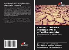 Caratterizzazione e miglioramento di un'argilla espansiva的封面