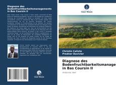 Diagnose des Bodenfruchtbarkeitsmanagements in Bas Coursin II kitap kapağı