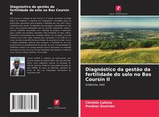 Borítókép a  Diagnóstico da gestão da fertilidade do solo no Bas Coursin II - hoz