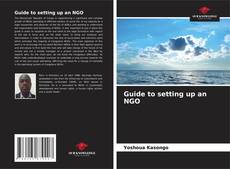Обложка Guide to setting up an NGO