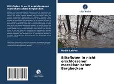 Copertina di Blitzfluten in nicht erschlossenen marokkanischen Bergbecken