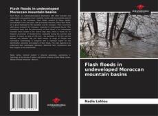 Capa do livro de Flash floods in undeveloped Moroccan mountain basins 