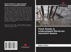 Couverture de Flash floods in undeveloped Moroccan mountain basins