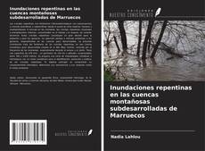 Copertina di Inundaciones repentinas en las cuencas montañosas subdesarrolladas de Marruecos