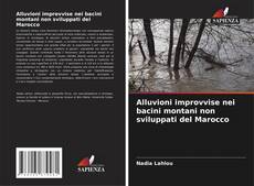 Couverture de Alluvioni improvvise nei bacini montani non sviluppati del Marocco