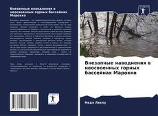 Внезапные наводнения в неосвоенных горных бассейнах Марокко kitap kapağı