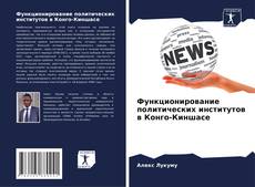 Borítókép a  Функционирование политических институтов в Конго-Киншасе - hoz