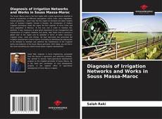 Capa do livro de Diagnosis of Irrigation Networks and Works in Souss Massa-Maroc 