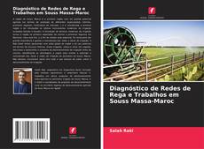 Buchcover von Diagnóstico de Redes de Rega e Trabalhos em Souss Massa-Maroc