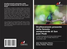 Обложка Orythocenosis presente nella foresta sempreverde di San Juan Peak