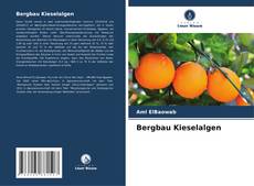 Bookcover of Bergbau Kieselalgen