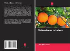 Bookcover of Diatomáceas mineiras