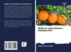 Bookcover of Добыча диатомовых водорослей