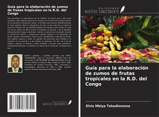 Guía para la elaboración de zumos de frutas tropicales en la R.D. del Congo的封面
