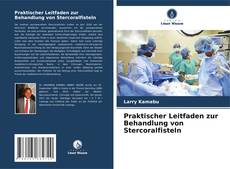 Bookcover of Praktischer Leitfaden zur Behandlung von Stercoralfisteln