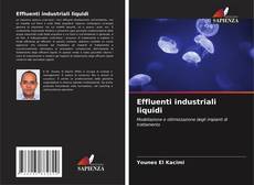 Couverture de Effluenti industriali liquidi