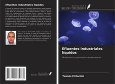 Copertina di Efluentes industriales líquidos