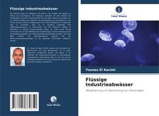 Flüssige Industrieabwässer kitap kapağı