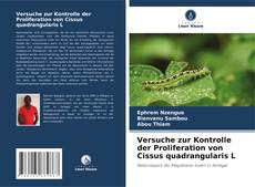 Buchcover von Versuche zur Kontrolle der Proliferation von Cissus quadrangularis L
