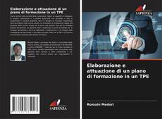 Copertina di Elaborazione e attuazione di un piano di formazione in un TPE