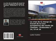 La crise de la charge de travail de la Cour européenne des droits de l'homme - Protocoles n° 14, 15 et 16 kitap kapağı