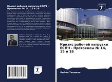 Кризис рабочей нагрузки ЕСПЧ - Протоколы № 14, 15 и 16 kitap kapağı